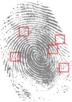 Comparison Between Microscope, Excitation And Forensic Light Sources