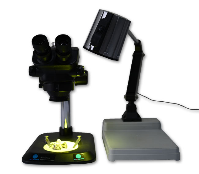 SLF 8806 dual-wavelength fluorescence excitation light source for stereo microscope,Microscope Fluorescence Adapter