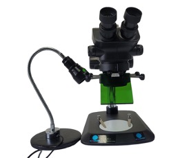 Everything to Know about Fluorescence Flashlight and Microscope Fluorescence Adapter