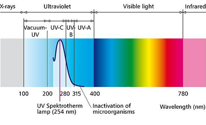 Ultra Violet Lights: Types and applications